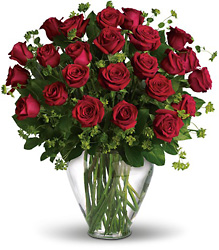 Two Dozen roses from Schultz Florists, flower delivery in Chicago